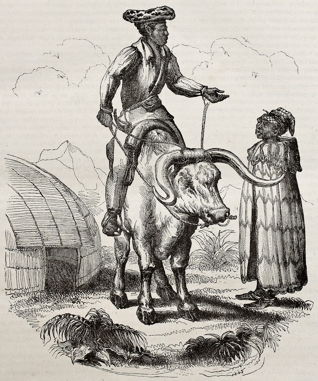 Griqua people historical illustration